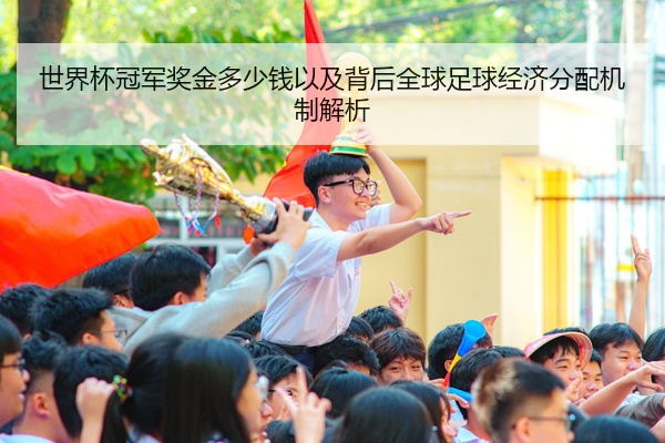 世界杯冠军奖金多少钱以及背后全球足球经济分配机制解析
