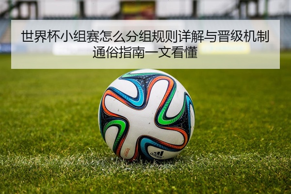 世界杯小组赛怎么分组规则详解与晋级机制通俗指南一文看懂