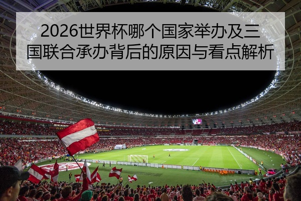 2026世界杯哪个国家举办及三国联合承办背后的原因与看点解析