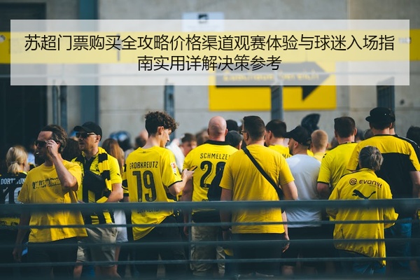 苏超门票购买全攻略价格渠道观赛体验与球迷入场指南实用详解决策参考