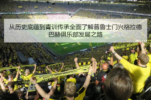 从历史底蕴到青训传承全面了解普鲁士门兴格拉德巴赫俱乐部发展之路