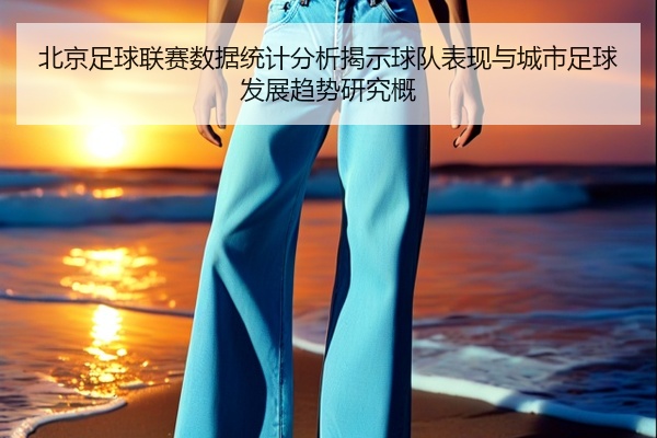 北京足球联赛数据统计分析揭示球队表现与城市足球发展趋势研究概